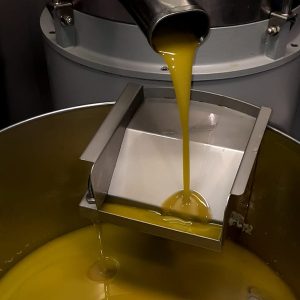 Olivenöl Ernte und Herstellung_d