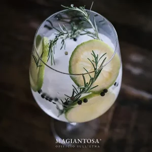 Gin Magiantosa_1